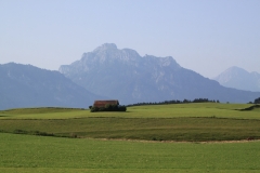 2015_sola_002